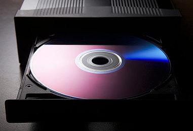 《城市：天际线2》开发者研究新补丁修复流浪狗的问题